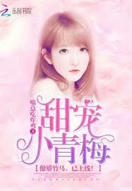 ���С��÷�����������������ߣ�