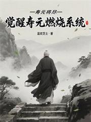 ��Ԫ������������Ԫȼ��ϵͳ