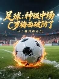 �������г���C��÷���Ʒ���